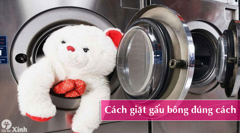 cách giặt gấu bông