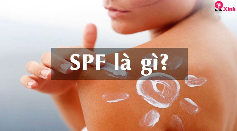 spf là gì