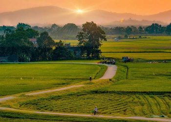 những hình ảnh làng quê việt nam đẹp