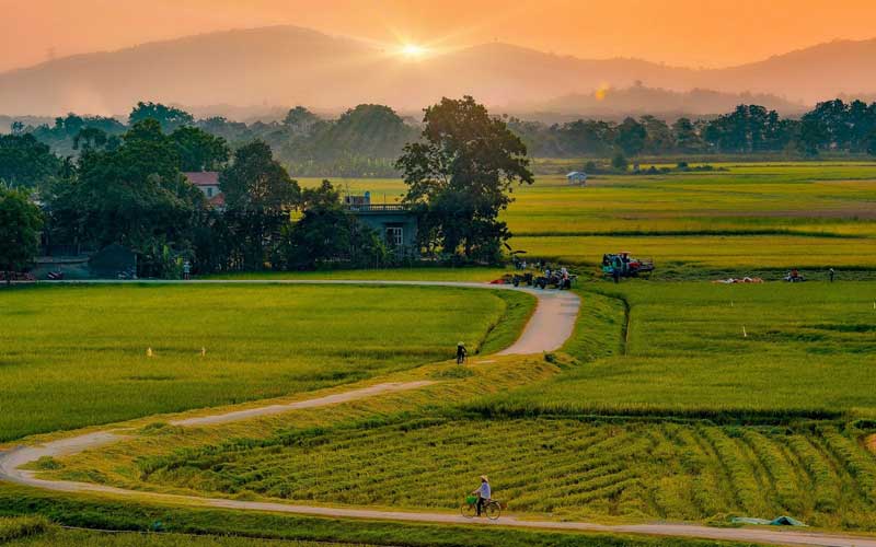 Ngắm nhìn Hình ảnh làng quê Việt Nam yên bình mộc mạc