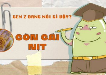 con cái nịt là gì