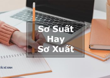 sơ xuất hay sơ suất