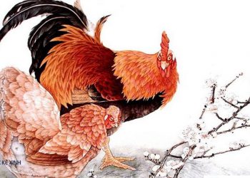 giờ dậu là mấy giờ? người sinh giờ dậu có sướng không