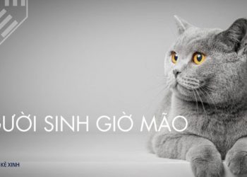 giờ dần là mấy giờ