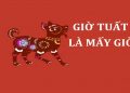 giờ tuất là mấy giờ