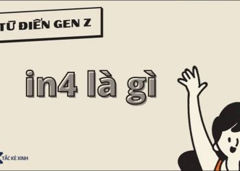 In4 là gì?