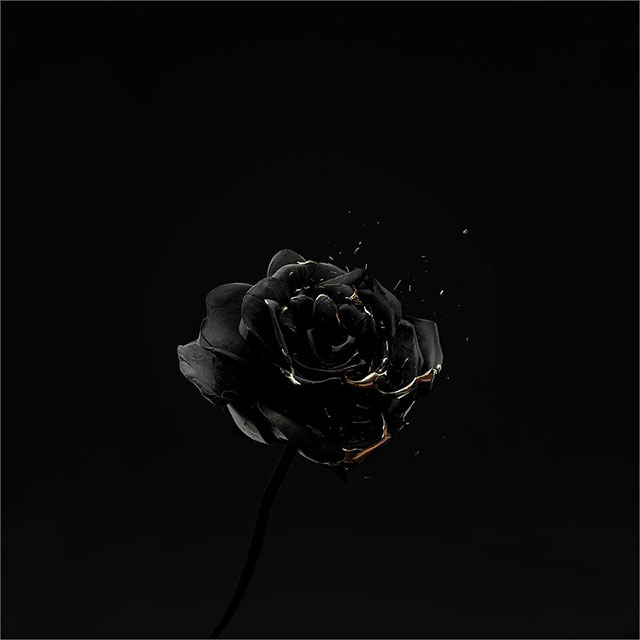 Hình nền đen kịt buồn hoa hồng