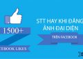 STT hay khi đặt ảnh đại diện