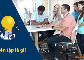 Kiến tập là gì?