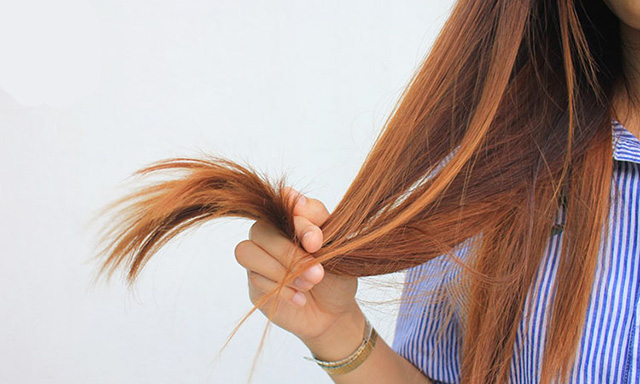 Tóc khô xơ nên làm gì? Cách khắc phục tóc khô xơ tại nhà