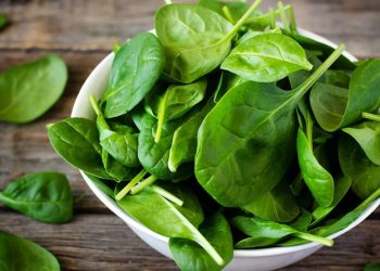 rau bina là rau gì