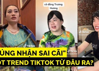 hot trend đùng nhận sai cãi là gì