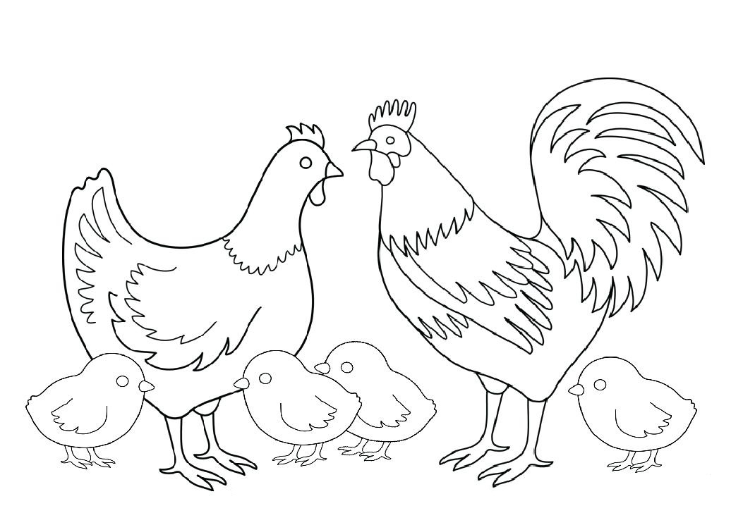Tranh tô màu con vật nuôi trong gia đình - Gia đình nhà gà
