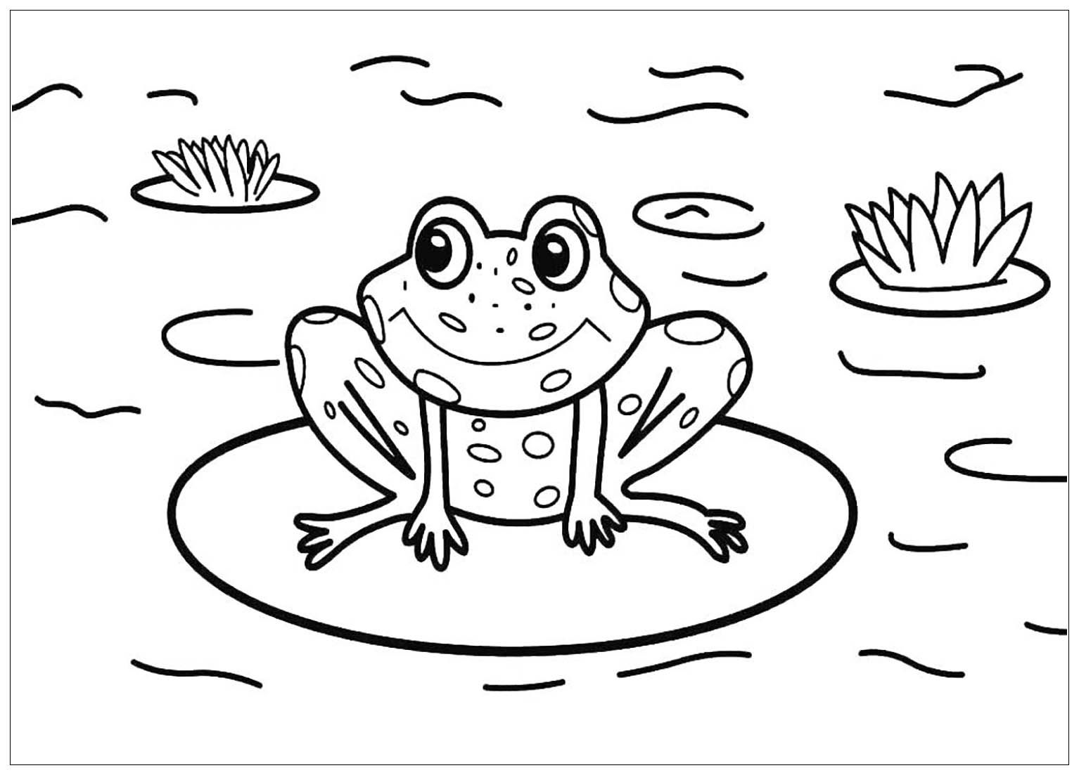 Tranh tô màu con vật sống dưới nước - Chú ếch trong ao