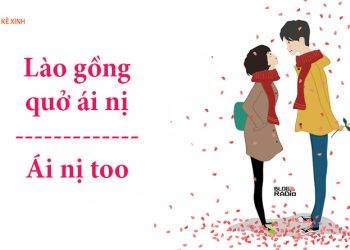 Lý giải thuật ngữ lào gồng quở ái nị và ái nị too là gì