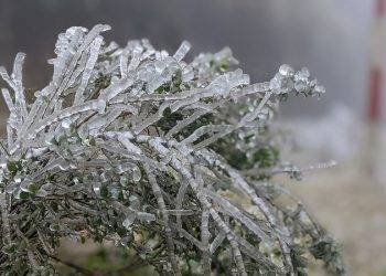 Hình ảnh băng tuyết phủ trắng tại các tỉnh vùng núi phía bắc